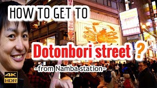 How to get to Dotonbori from Namba Station Full street view with 4K movie 111 [upl. by Lacey]