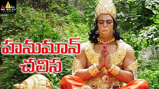 Hanuman Chalisa Telugu Full Movie  Vindu Dara Singh Suman AVS [upl. by Atter]