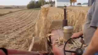 IH 234 Corn Picker [upl. by Enyawed978]