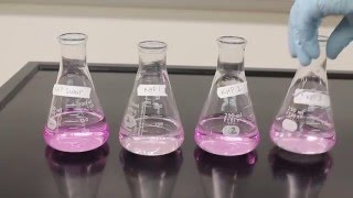 Titration Video [upl. by Wendalyn413]