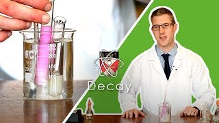 Decay  GCSE Biology Required Practical [upl. by Novahc]