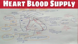 Heart Blood Supply 1  Right Coronary Artery  TCML  Dr Pawan nagar [upl. by Nylhtak961]