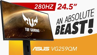 ASUS TUF VG259QM  An ABSOLUTE MONSTER  Detailed Review [upl. by Pontone]